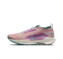 Nike Pegasus Trail 5 GORE TEX (FQ0908-600) in pink