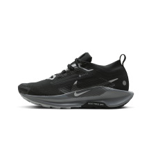 Nike Pegasus Trail 5 GORE TEX (FQ0912-001)