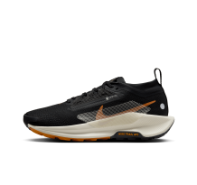 Nike Pegasus Trail 5 GORE TEX wasserfester (FQ0912-005)