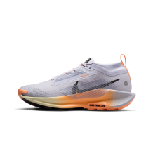 Nike Pegasus Trail 5 Gore Tex (FQ0912-011)