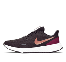 Nike Revolution 5 Gold (BQ3207-003)