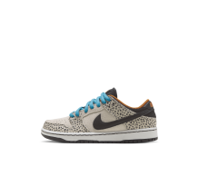 Nike Dunk Low Pro SB (HF7841 001) in weiss