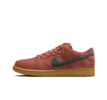 Nike Dunk Low Pro SB (HF3704 800)