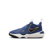 Nike Team Hustle D 11 (FZ8463-400)