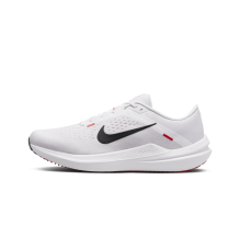 Nike Winflo 10 Air (DV4022-100)