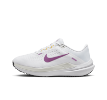 Nike Winflo 10 Air (DV4023-103)