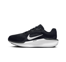 Nike Winflo 11 (FQ8937-001)