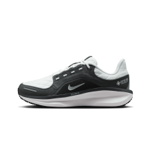 Nike Air Winflo 11 GORE TEX (FQ1359-004)