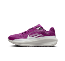 Nike Winflo 11 Premium Air (FZ3068-500)