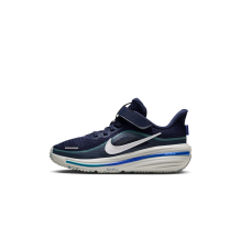 Nike Winflo 12 (IQ9768-410)
