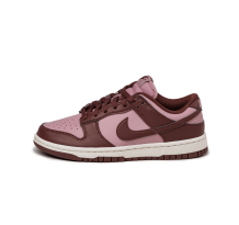 Nike Dunk Low Next Nature (DD1873 114)