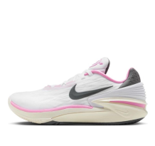 Nike Air GT Zoom Coconut Milk Spell Cut 2 (FD9905-101)