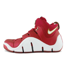 Nike Zoom LeBron 4 (314647-611)