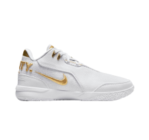 Nike Zoom LeBron NXXT Gen AMPD EP (FJ1567 103)
