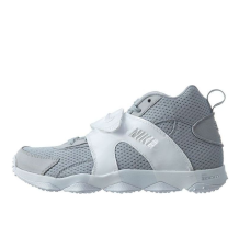 Nike Zoom Veer Wolf Grey (844675 011)
