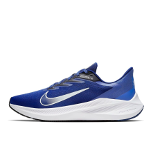Nike Zoom Winflo 7 (CJ0291-401)