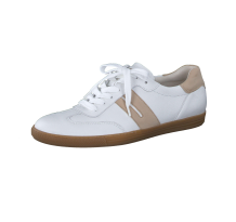 Paul Green 0076 5350 016 (5350-016)