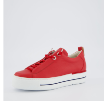 Paul Green 0077 5017 387 Pauls (5017-387)