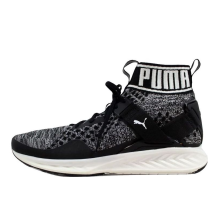 PUMA Ignite evoKnit (189697/01)