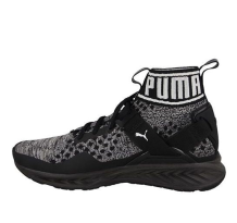 PUMA Ignite Evoknit (189697 09)