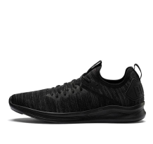 PUMA Ignite Flash EvoKnit (190508 05)