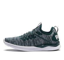 PUMA Ignite Flash Evoknit Gray Green (190511-16)