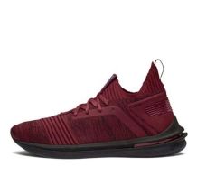 PUMA Ignite Limitless Sr Evoknit Low Top Running (190484-08)