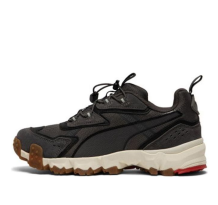 PUMA Trailfox Mts Water Gray (372220_02)