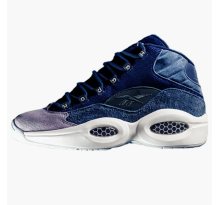 Reebok Question Mid Capsule Wind Chill (BD1087)