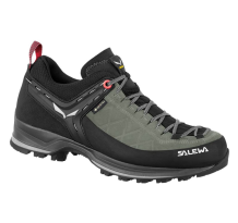 Salewa Mountain Trainer 2 GTX (000000061358_5190)