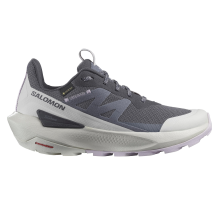 Salomon Elixir Activ GTX (L47526500) in grau