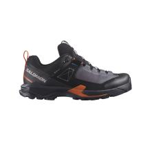 Salomon X Ultra Alpine Gore GTX Tex (L47567300) in grau