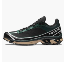 Salomon XT 6 FT Ponderosa Pine (L41470700)