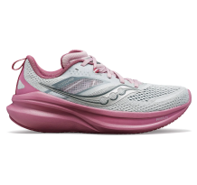 Saucony Omni 22 (S10926-105)