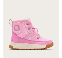 Sorel Whitney III (2138841_687)