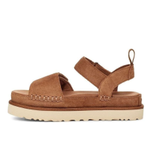 UGG Goldenstar (1117954-CTSD)