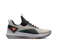Under Armour Project Rock BSR 3 UA (3026462-102) in grau