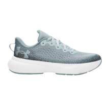 Under Armour Infinite UA (3027523-323)