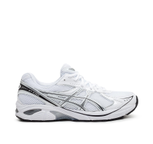 Asics GT 2160 (1203A275-110)