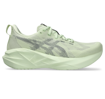 Asics Novablast 5 (1012B765-301)