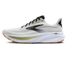 Brooks Ghost 17 (110442-1D-191)