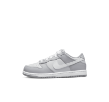 Nike Dunk Low PS (DH9756-001) in grau