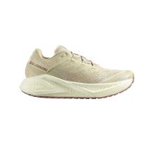 Salomon Aero Glide 3 GRVL (L47797300)