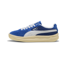 PUMA GV Special Laundry II (399841_01)