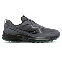 Saucony Excursion TR16 GTX (S20749-21) in grau