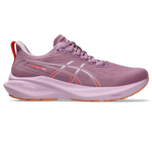 Asics GT 2000 13 (1012B666-501)