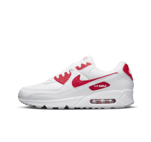 Nike Air Max 90 (DX8966-100)