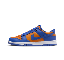 Nike Dunk Low Retro (DV0833 800) in blau