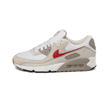 Nike Air Max 90 College Grey University (DM0029-113)