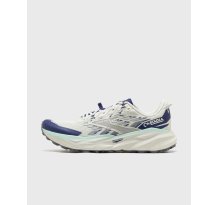 Brooks Cascadia 19 Blue (1104571D169)
